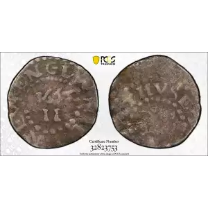 1662 2P Oak Tree, Small 2 (2)