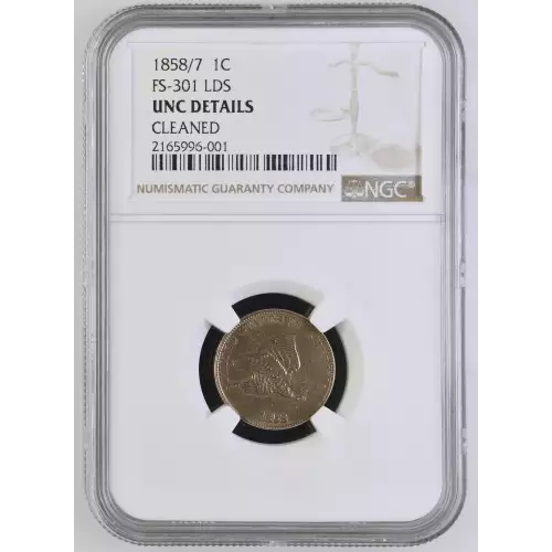 1858/7 FS-301 LDS (2)