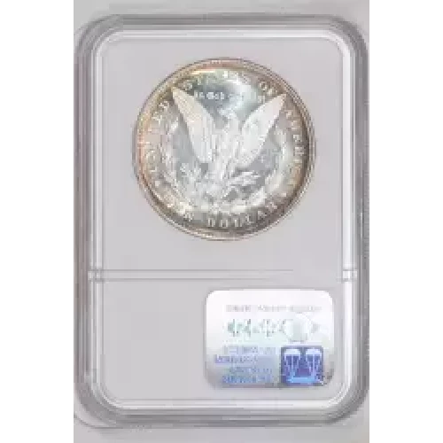 1878 8TF VAM-14.4 CONCAVE REVERSE 