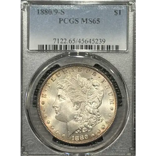 1880/9-S $1 (2)