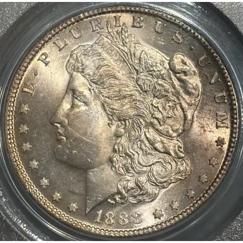 1887 $1 VAM 12, Alligator Eye TOP 100 (3)