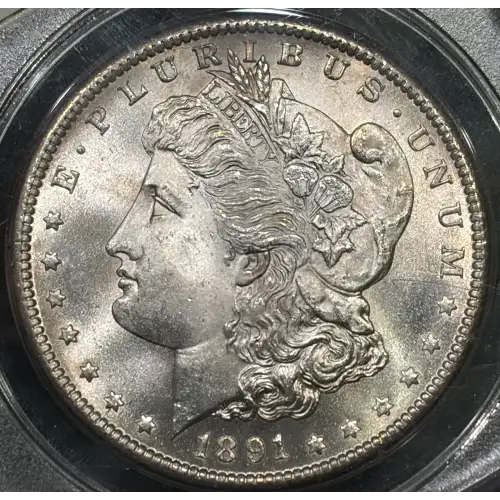 1891-S $1 (2)