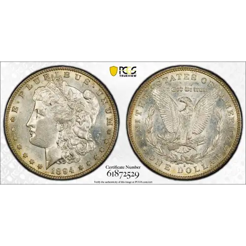 1894-S $1 (2)