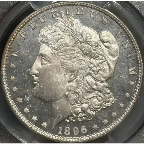 1896 $1, DMPL (2)
