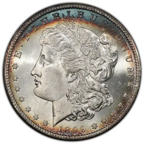 1899 $1 (3)