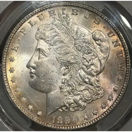 1899 $1 (2)
