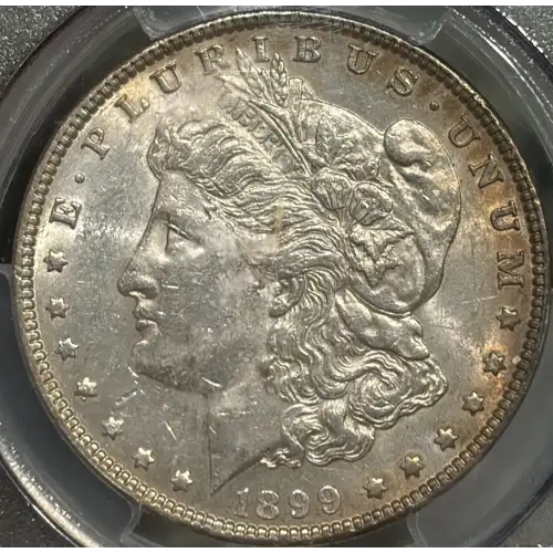 1899 $1
