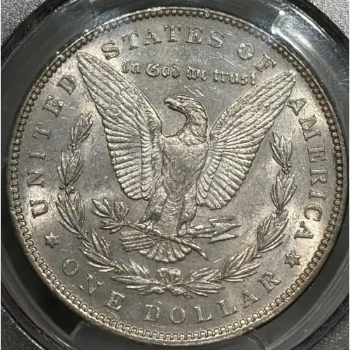 1899 $1 (3)