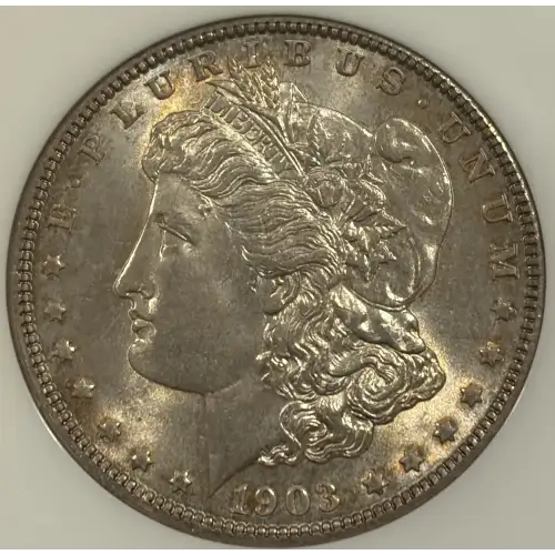 1903 MORGAN DOLLAR NGC MS65 (2)