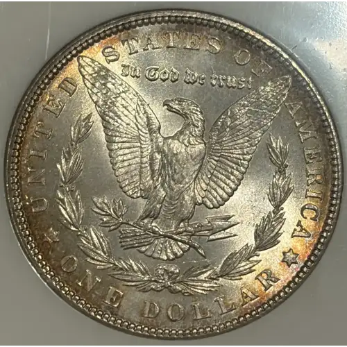 1903 MORGAN DOLLAR NGC MS65 (3)