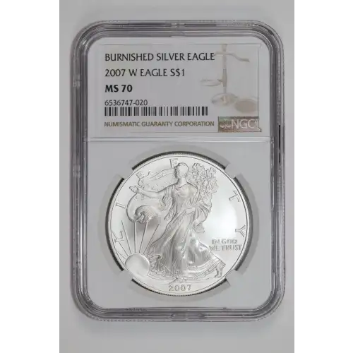 2007 W BURNISHED SILVER EAGLE