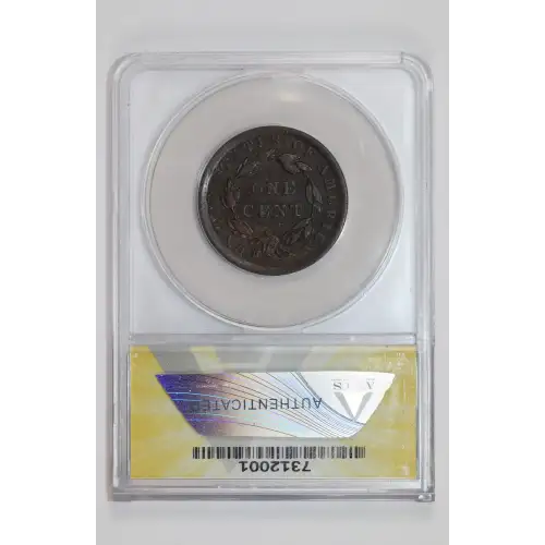 Large Cents - Braided Hair Cent (1839-1857) (2)