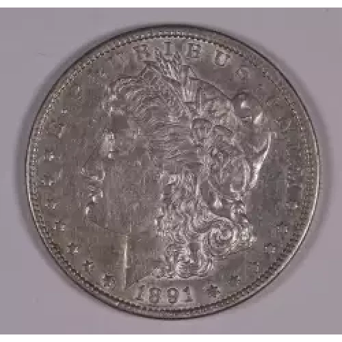 Morgan Silver Dollar