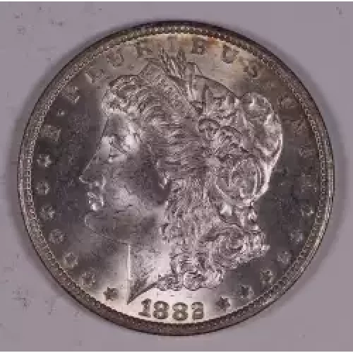 Morgan Silver Dollar