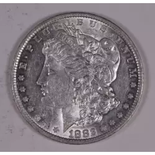 Morgan Silver Dollar