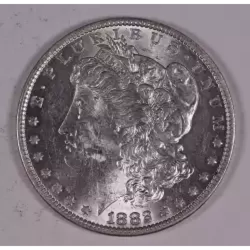 Morgan Silver Dollar