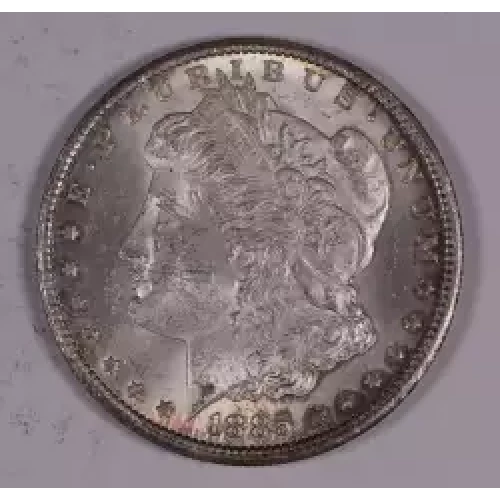 Morgan Silver Dollar