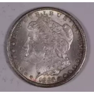 Morgan Silver Dollar