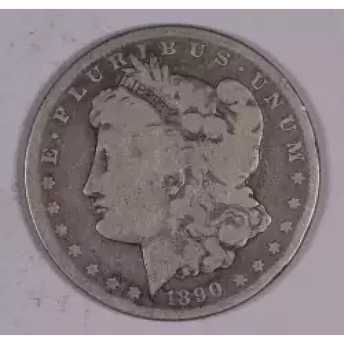 Morgan Silver Dollar (2)