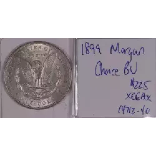 Morgan Silver Dollar (2)