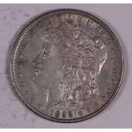 Morgan Silver Dollar