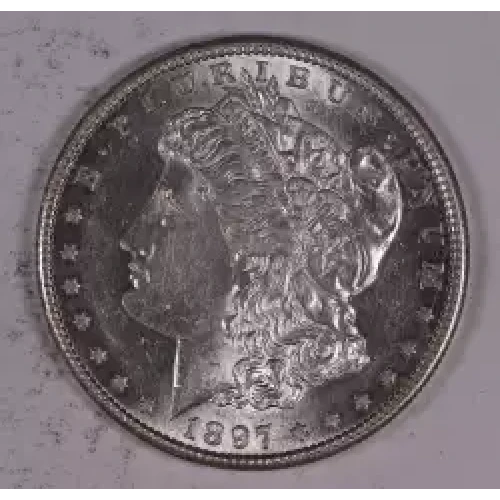Morgan Silver Dollar
