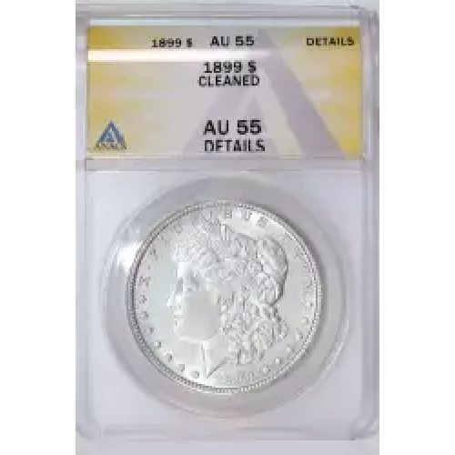 Morgan Silver Dollar