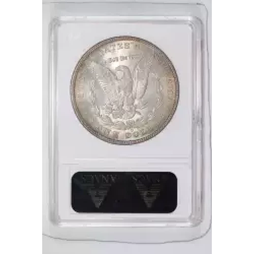 Morgan Silver Dollar (2)