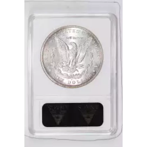 Morgan Silver Dollar (2)