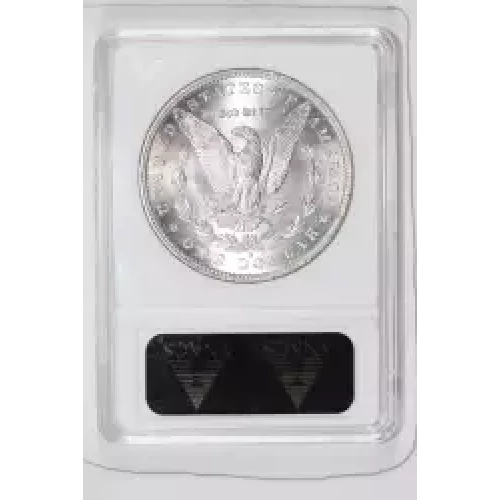 Morgan Silver Dollar