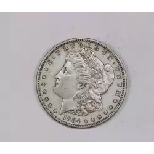 Morgan Silver Dollar