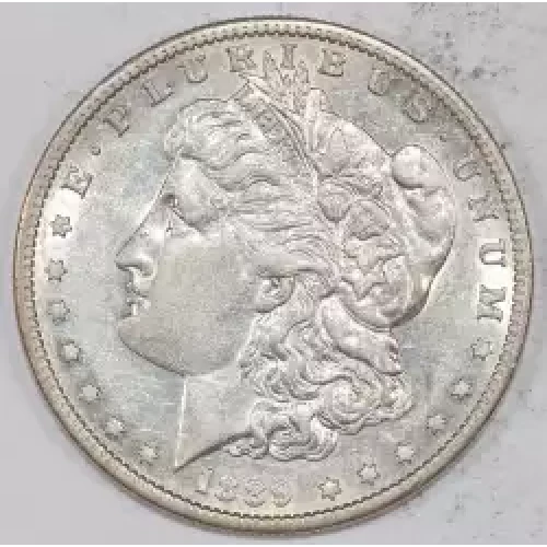 Morgan Silver Dollar