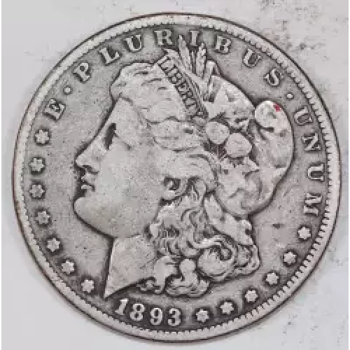 Morgan Silver Dollar