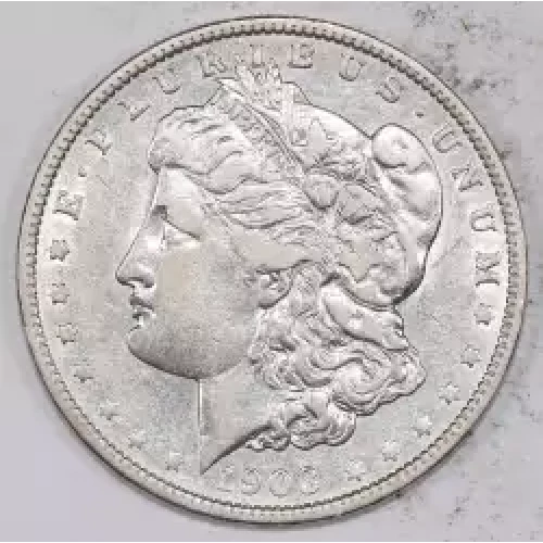 Morgan Silver Dollar