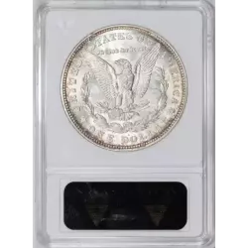 Morgan Silver Dollar