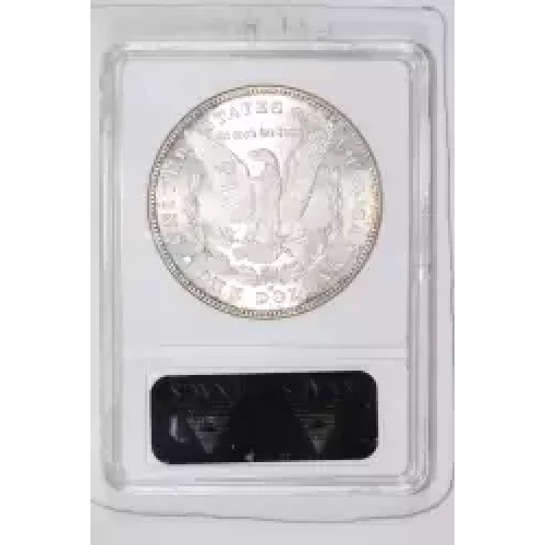 Morgan Silver Dollar (2)