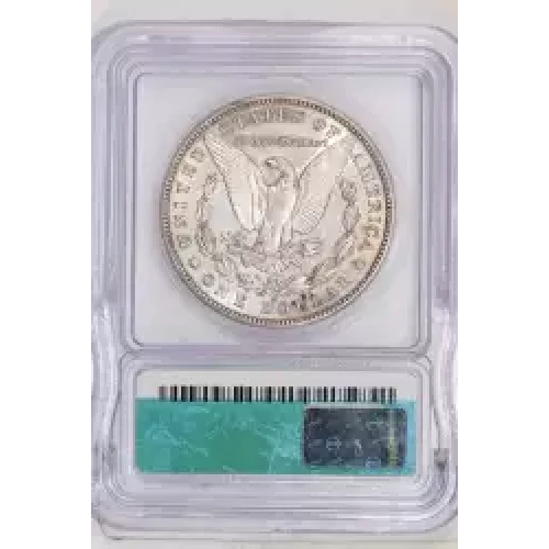 Morgan Silver Dollar (2)