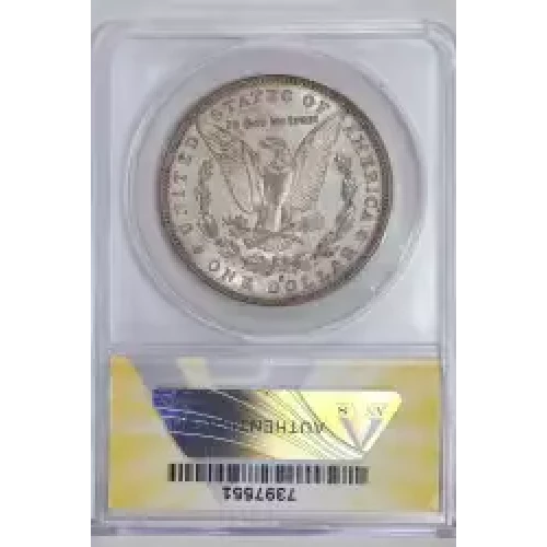 Morgan Silver Dollar (2)