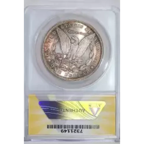Morgan Silver Dollar (2)