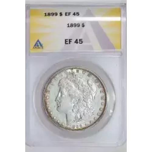 Morgan Silver Dollar