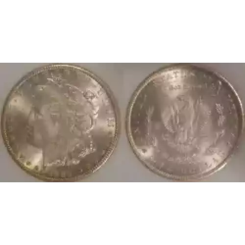 Morgan Silver Dollar (3)