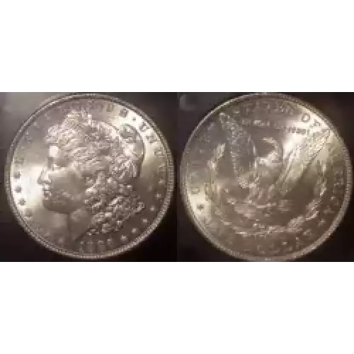 Morgan Silver Dollar (3)