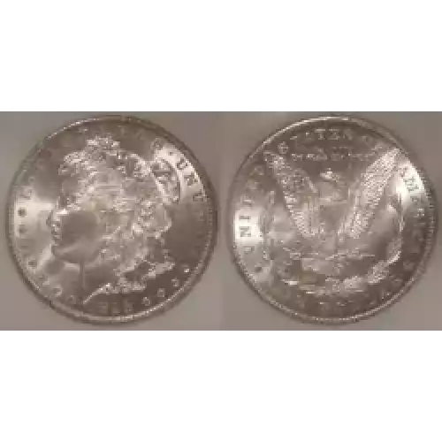 Morgan Silver Dollar (3)