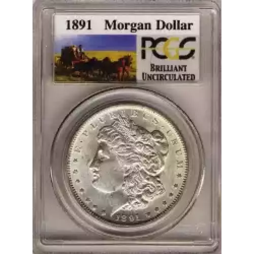 Morgan Silver Dollar (3)