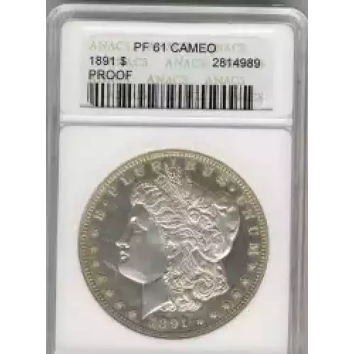 Morgan Silver Dollar (3)