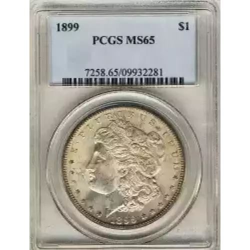 Morgan Silver Dollar (3)