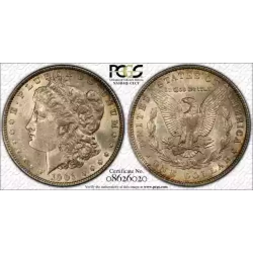 Morgan Silver Dollar (3)