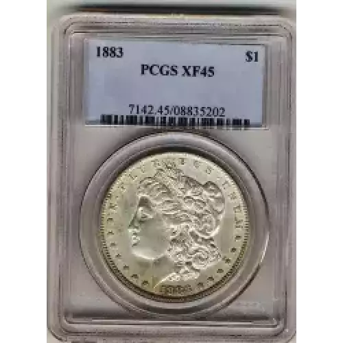 Morgan Silver Dollar (3)