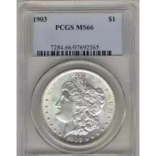 Morgan Silver Dollar (3)