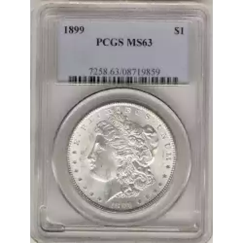 Morgan Silver Dollar (3)